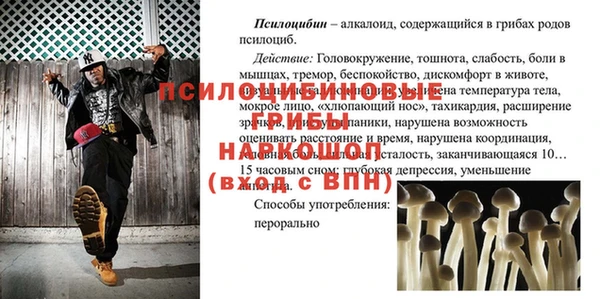 дмт Алексеевка