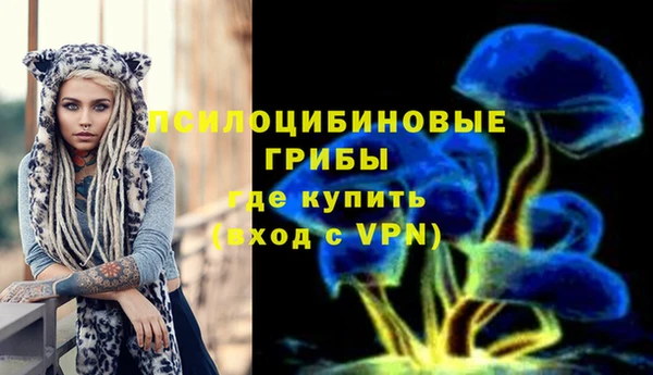 дмт Алексеевка